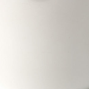 Polished Stainless Steel